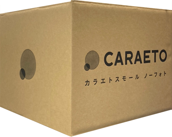 CARAETO(カラエト)の段ボール組み立て後